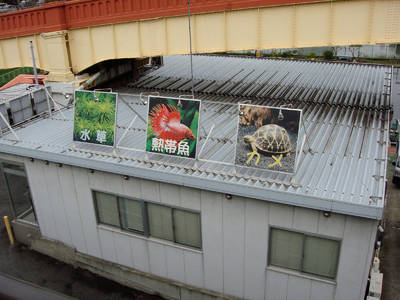 DSC00154.jpg