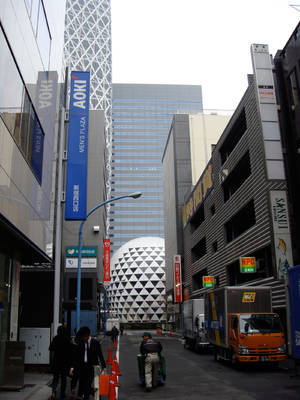 DSC00705.jpg