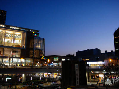 DSC00782.jpg