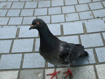 DSCF3072.jpg