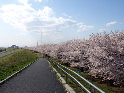 P4011672.jpg
