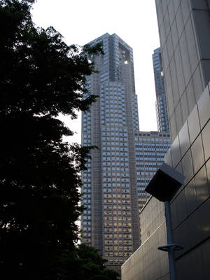 P4301741.jpg