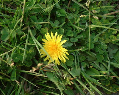 DSCF0002.JPG