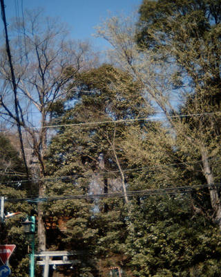 IMG_0016.jpg
