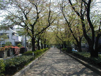 P1010001a.JPG