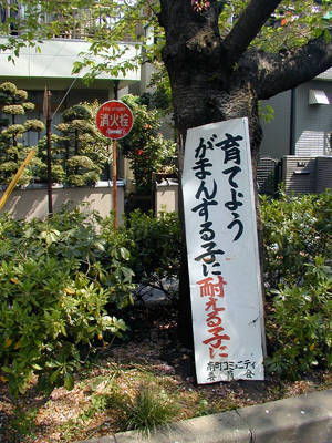 P10100021.jpg