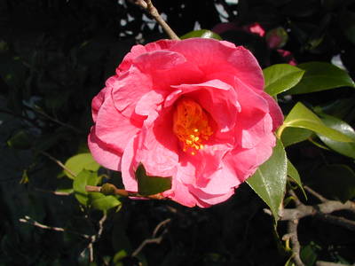 P1010009.JPG
