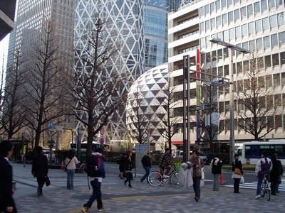 P1010010.jpg