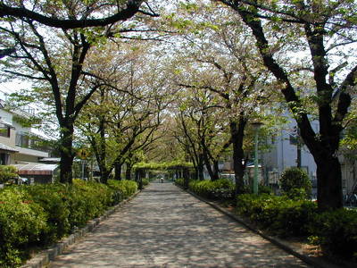 P1010010a.JPG