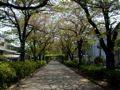 P1010010as.jpg