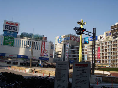 P1010011.jpg