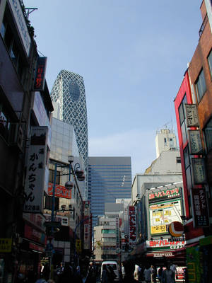 P1010016.jpg