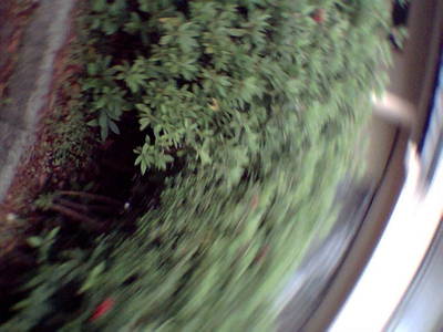 photos004.jpg