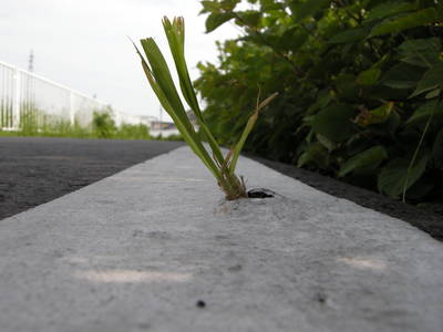 DSCN0051.JPG