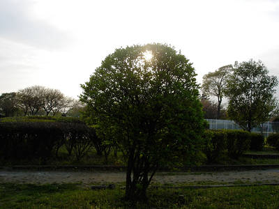KIF_0043.jpg