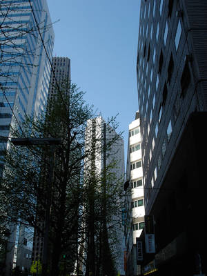KIF_0062.jpg