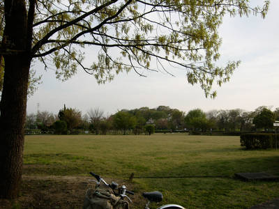 P1090207.jpg