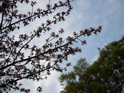 P1090218.jpg