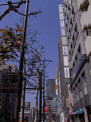 RIMG0001a.jpg