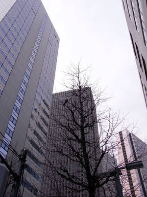 RIMG0011ss.jpg