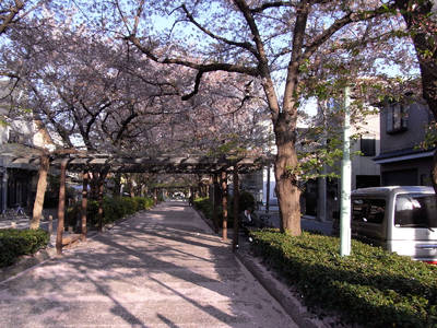 RIMG0015a.jpg