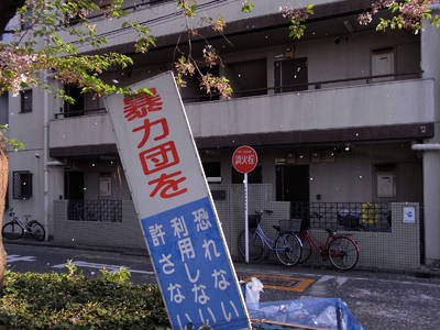 RIMG0016aa.jpg