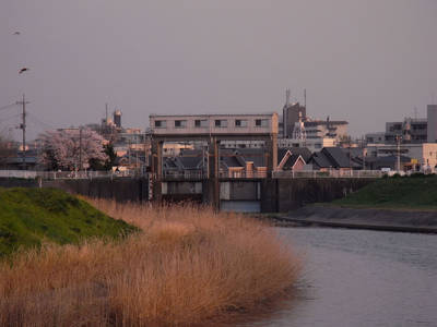 RIMG0022.jpg