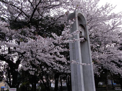 RIMG0029a.jpg