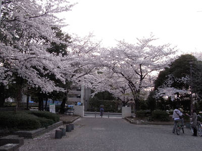 RIMG0031a.jpg