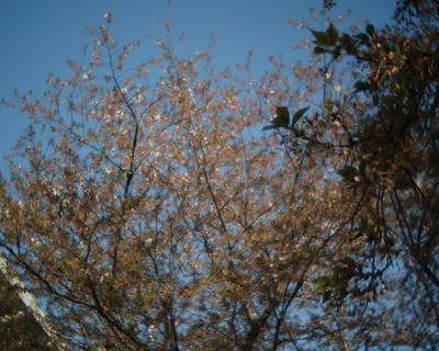 file001.jpg