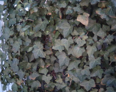 file002.jpg