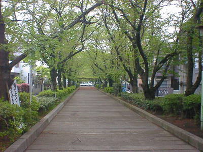 DSC00007-1.JPG