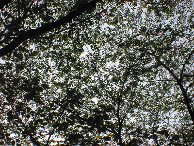 DSC00008-0.JPG