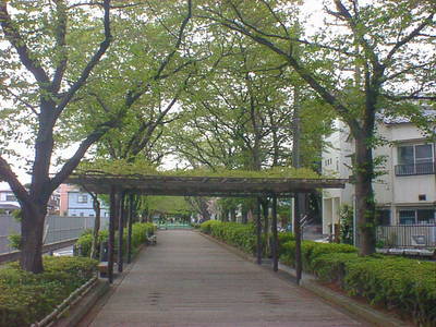 DSC00015-5.JPG