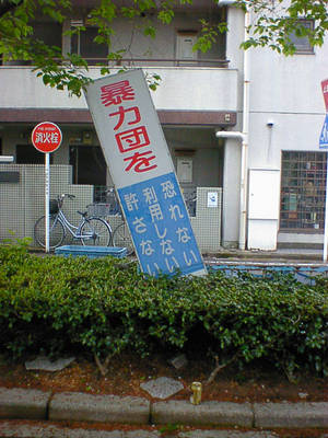 DSC00019.jpg