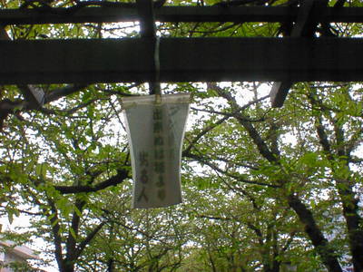 DSC00020-0.JPG