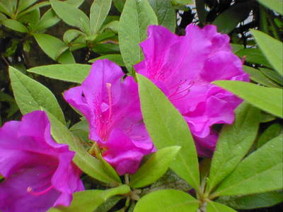 DSC00022-12.JPG