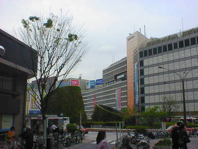 DSC00028-2.JPG