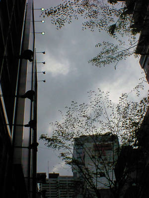 DSC00030-02.jpg