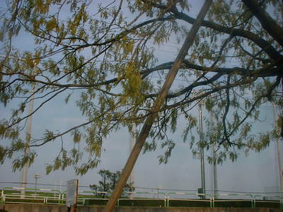 DSCF0002-07.JPG