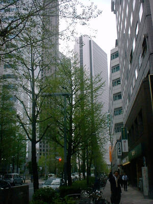 DSCF0003-00.jpg