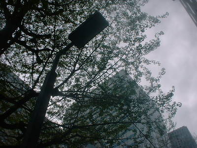 DSCF0005-08.JPG