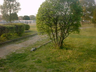 DSCF0006-06.JPG