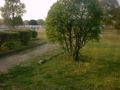 DSCF0006-06s.jpg