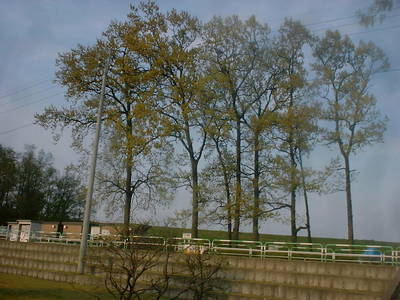 DSCF0007-05.JPG