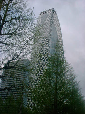 DSCF0008-10.jpg