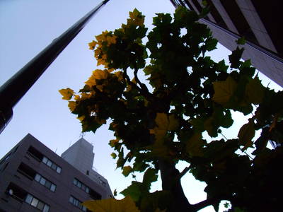 GEDC0049.JPG