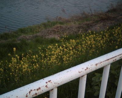 IMG_0003.JPG