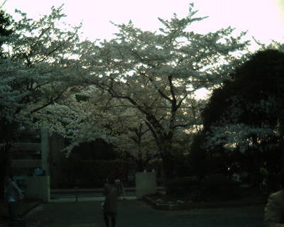 IMG_0007.JPG