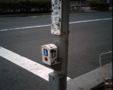 IMG_90001s.jpg